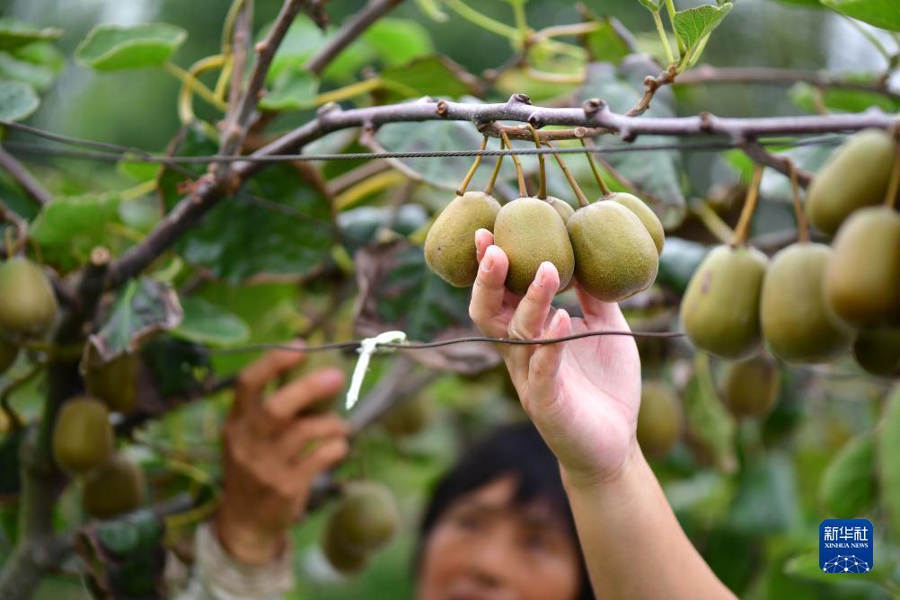 永利皇宫登录